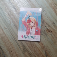 Image of SPRING 1