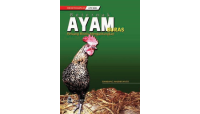 Image of Beternak Ayam Buras