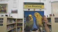 Image of Ulah Binatang