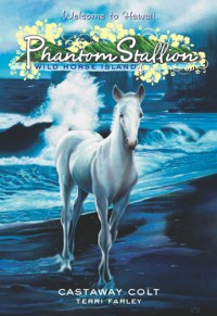 Image of Phantom Stallion: Wild Horse Island
